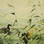 820 3155 WATERCOLOUR (F)